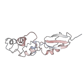 12977_7old_LK_v1-1
Thermophilic eukaryotic 80S ribosome at pe/E (TI)-POST state