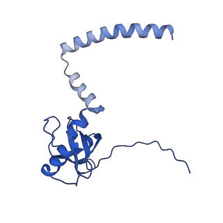 12977_7old_LM_v1-1
Thermophilic eukaryotic 80S ribosome at pe/E (TI)-POST state