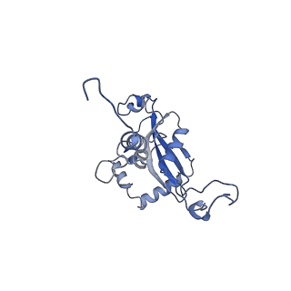 12977_7old_LN_v1-1
Thermophilic eukaryotic 80S ribosome at pe/E (TI)-POST state