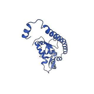 12977_7old_LO_v1-1
Thermophilic eukaryotic 80S ribosome at pe/E (TI)-POST state