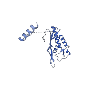12977_7old_LP_v1-1
Thermophilic eukaryotic 80S ribosome at pe/E (TI)-POST state