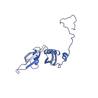 12977_7old_LS_v1-1
Thermophilic eukaryotic 80S ribosome at pe/E (TI)-POST state