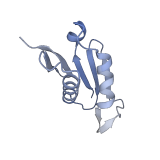 12977_7old_LU_v1-1
Thermophilic eukaryotic 80S ribosome at pe/E (TI)-POST state