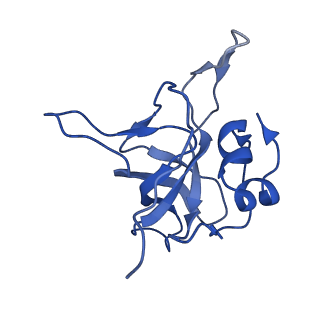 12977_7old_LV_v1-1
Thermophilic eukaryotic 80S ribosome at pe/E (TI)-POST state