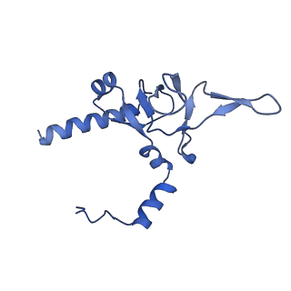 12977_7old_LY_v1-1
Thermophilic eukaryotic 80S ribosome at pe/E (TI)-POST state