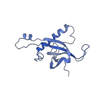 12977_7old_LZ_v1-1
Thermophilic eukaryotic 80S ribosome at pe/E (TI)-POST state