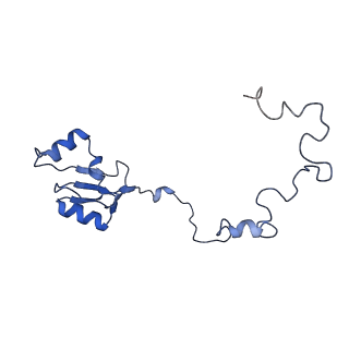 12977_7old_La_v1-1
Thermophilic eukaryotic 80S ribosome at pe/E (TI)-POST state