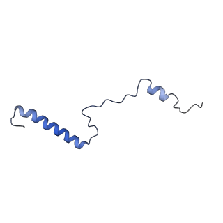 12977_7old_Lb_v1-1
Thermophilic eukaryotic 80S ribosome at pe/E (TI)-POST state