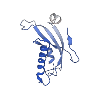 12977_7old_Ld_v1-1
Thermophilic eukaryotic 80S ribosome at pe/E (TI)-POST state