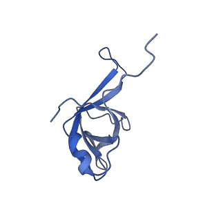 12977_7old_Lf_v1-1
Thermophilic eukaryotic 80S ribosome at pe/E (TI)-POST state