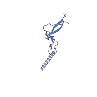 12977_7old_Lg_v1-1
Thermophilic eukaryotic 80S ribosome at pe/E (TI)-POST state