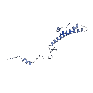 12977_7old_Lh_v1-1
Thermophilic eukaryotic 80S ribosome at pe/E (TI)-POST state