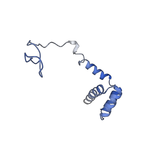 12977_7old_Li_v1-1
Thermophilic eukaryotic 80S ribosome at pe/E (TI)-POST state