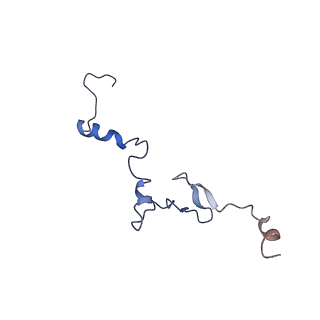 12977_7old_Lj_v1-1
Thermophilic eukaryotic 80S ribosome at pe/E (TI)-POST state