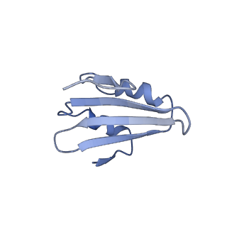 12977_7old_Lk_v1-1
Thermophilic eukaryotic 80S ribosome at pe/E (TI)-POST state