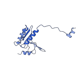 12977_7old_Lq_v1-1
Thermophilic eukaryotic 80S ribosome at pe/E (TI)-POST state