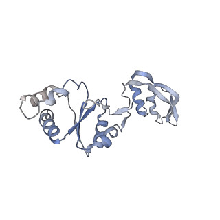 12977_7old_Ls_v1-1
Thermophilic eukaryotic 80S ribosome at pe/E (TI)-POST state