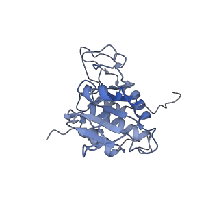 12977_7old_SA_v1-1
Thermophilic eukaryotic 80S ribosome at pe/E (TI)-POST state
