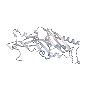 12977_7old_SB_v1-1
Thermophilic eukaryotic 80S ribosome at pe/E (TI)-POST state