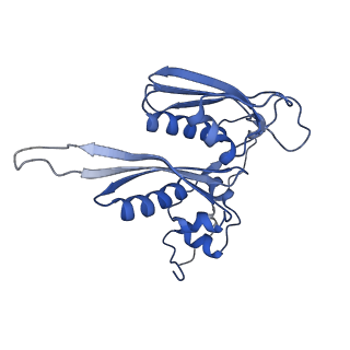12977_7old_SC_v1-1
Thermophilic eukaryotic 80S ribosome at pe/E (TI)-POST state