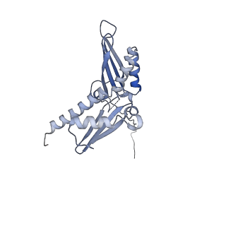 12977_7old_SD_v1-1
Thermophilic eukaryotic 80S ribosome at pe/E (TI)-POST state