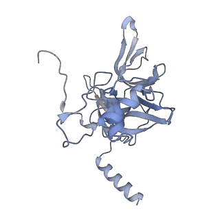 12977_7old_SE_v1-1
Thermophilic eukaryotic 80S ribosome at pe/E (TI)-POST state