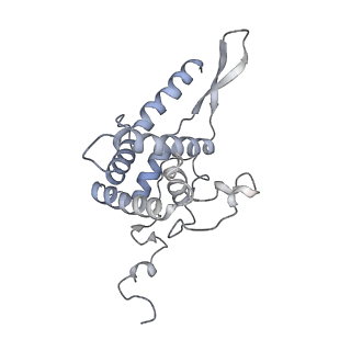 12977_7old_SF_v1-1
Thermophilic eukaryotic 80S ribosome at pe/E (TI)-POST state