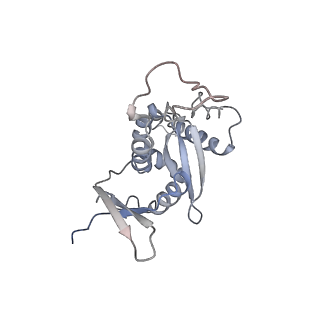 12977_7old_SH_v1-1
Thermophilic eukaryotic 80S ribosome at pe/E (TI)-POST state