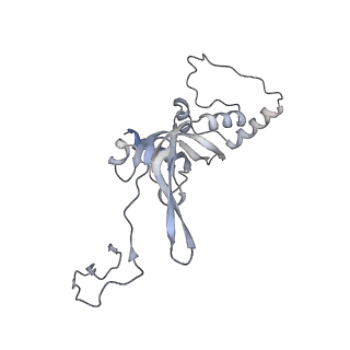 12977_7old_SI_v1-1
Thermophilic eukaryotic 80S ribosome at pe/E (TI)-POST state