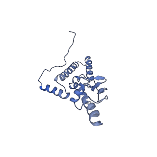 12977_7old_SJ_v1-1
Thermophilic eukaryotic 80S ribosome at pe/E (TI)-POST state