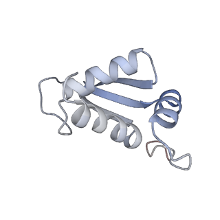 12977_7old_SK_v1-1
Thermophilic eukaryotic 80S ribosome at pe/E (TI)-POST state