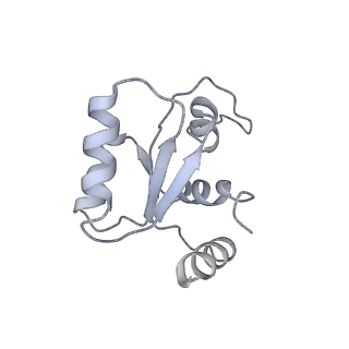 12977_7old_SM_v1-1
Thermophilic eukaryotic 80S ribosome at pe/E (TI)-POST state