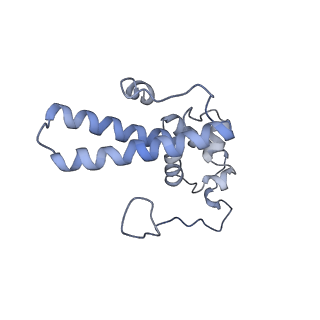 12977_7old_SN_v1-1
Thermophilic eukaryotic 80S ribosome at pe/E (TI)-POST state