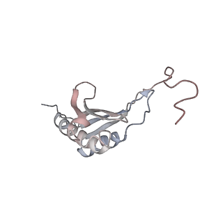 12977_7old_SO_v1-1
Thermophilic eukaryotic 80S ribosome at pe/E (TI)-POST state