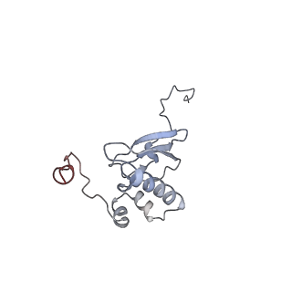 12977_7old_SP_v1-1
Thermophilic eukaryotic 80S ribosome at pe/E (TI)-POST state
