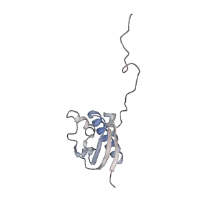 12977_7old_SQ_v1-1
Thermophilic eukaryotic 80S ribosome at pe/E (TI)-POST state