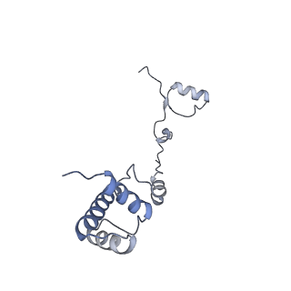 12977_7old_SR_v1-1
Thermophilic eukaryotic 80S ribosome at pe/E (TI)-POST state