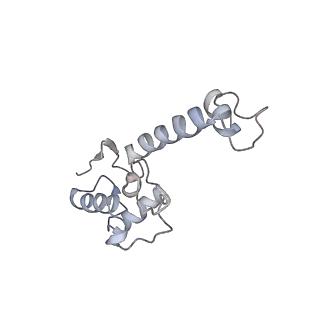 12977_7old_SS_v1-1
Thermophilic eukaryotic 80S ribosome at pe/E (TI)-POST state
