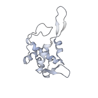 12977_7old_ST_v1-1
Thermophilic eukaryotic 80S ribosome at pe/E (TI)-POST state