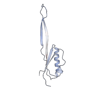 12977_7old_SU_v1-1
Thermophilic eukaryotic 80S ribosome at pe/E (TI)-POST state