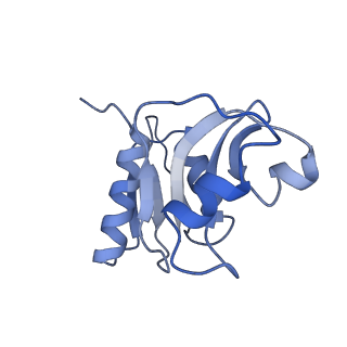 12977_7old_SW_v1-1
Thermophilic eukaryotic 80S ribosome at pe/E (TI)-POST state