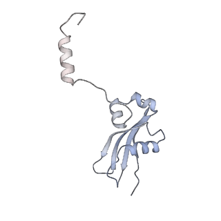 12977_7old_SY_v1-1
Thermophilic eukaryotic 80S ribosome at pe/E (TI)-POST state