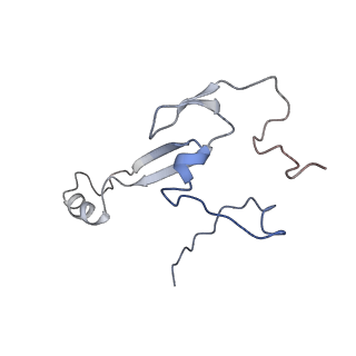 12977_7old_Sa_v1-1
Thermophilic eukaryotic 80S ribosome at pe/E (TI)-POST state