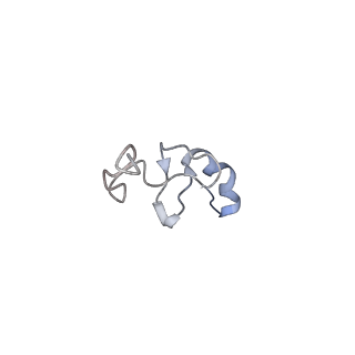 12977_7old_Sd_v1-1
Thermophilic eukaryotic 80S ribosome at pe/E (TI)-POST state