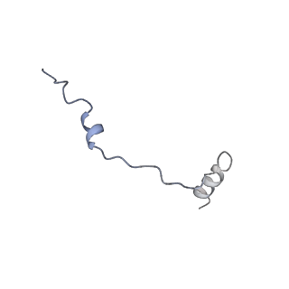 12977_7old_Se_v1-1
Thermophilic eukaryotic 80S ribosome at pe/E (TI)-POST state
