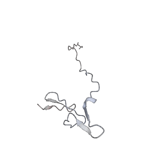 12977_7old_Sf_v1-1
Thermophilic eukaryotic 80S ribosome at pe/E (TI)-POST state