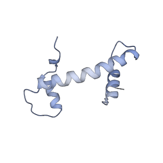 16936_8ol1_B_v1-1
cGAS-Nucleosome in complex with SPSB3-ELOBC (composite structure)