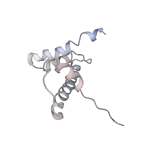 16936_8ol1_D_v1-1
cGAS-Nucleosome in complex with SPSB3-ELOBC (composite structure)