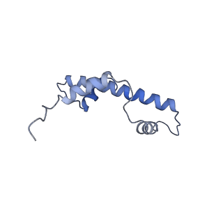 16936_8ol1_E_v1-1
cGAS-Nucleosome in complex with SPSB3-ELOBC (composite structure)