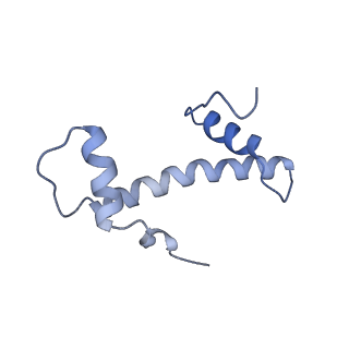 16936_8ol1_F_v1-1
cGAS-Nucleosome in complex with SPSB3-ELOBC (composite structure)